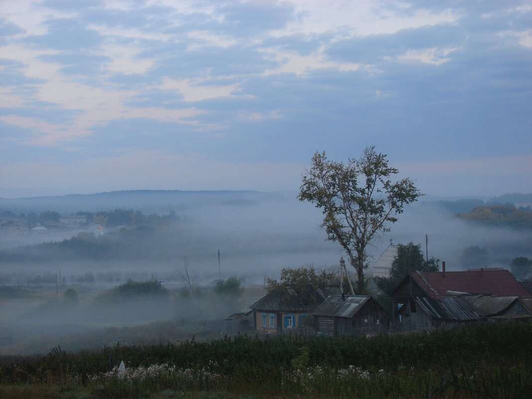 ОЙ, ТУМАНЫ МОИ, РАСТУМАНЫ... (раннее августовское, уже грибное утро в Ульяновской области) - Александра Фомина
