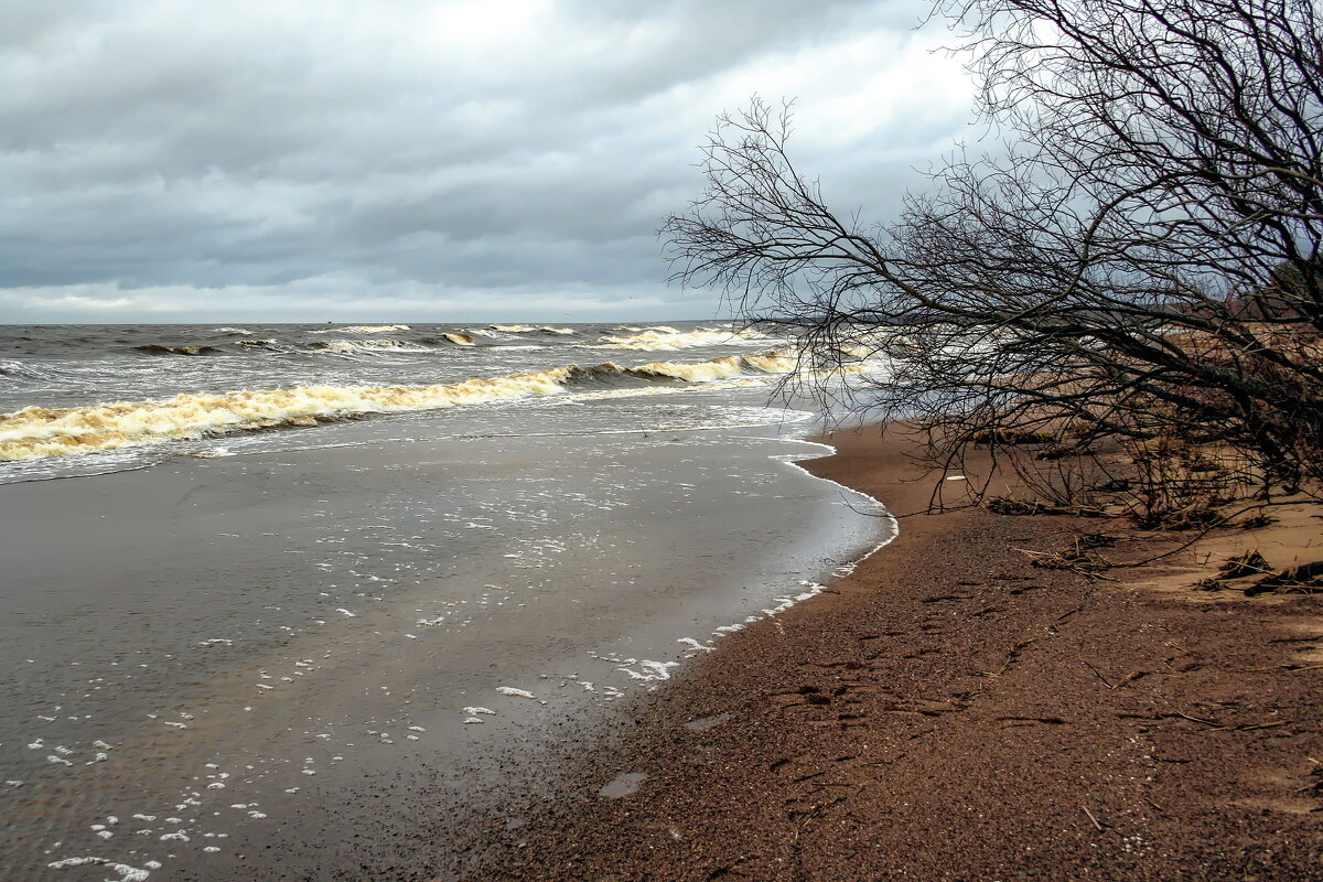 Sea and wind - Arturs Ancans