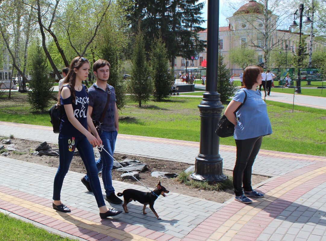 Выгуливают - Сергей Никифоров