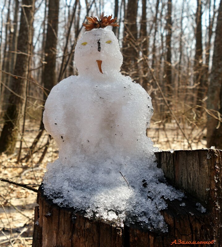 Апрельские снеговики не сдаются! :-) - Андрей Заломленков (настоящий) 