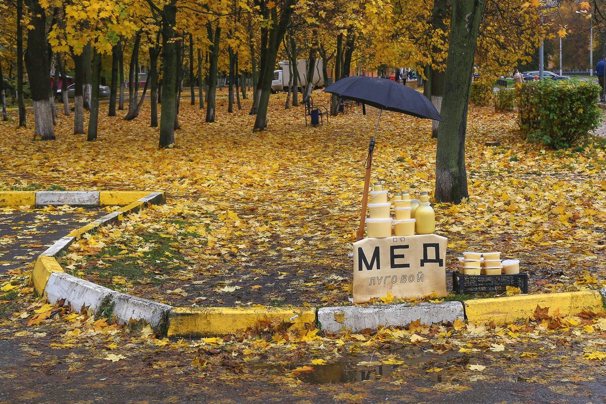 мед - Виктор 