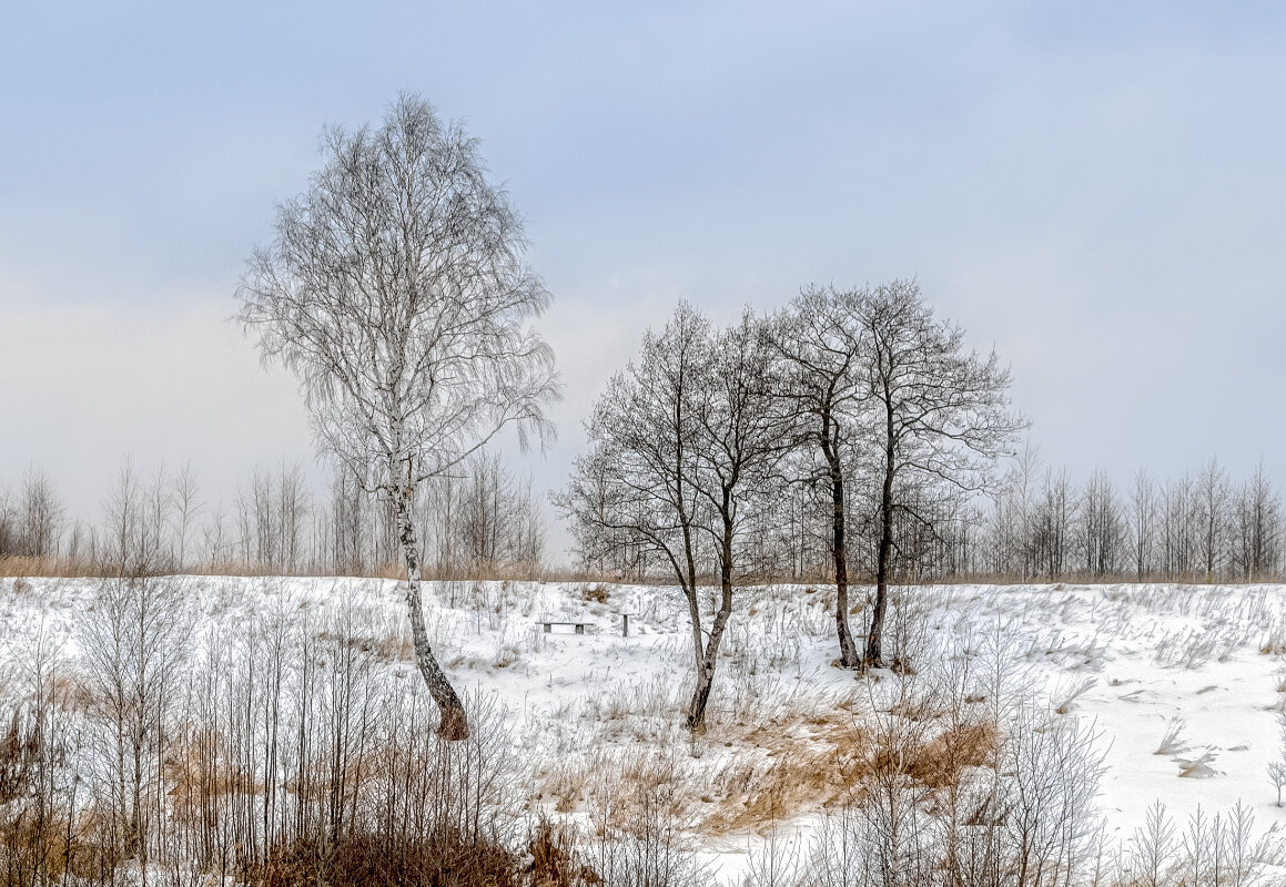 Пейзаж со снегом - Серый 