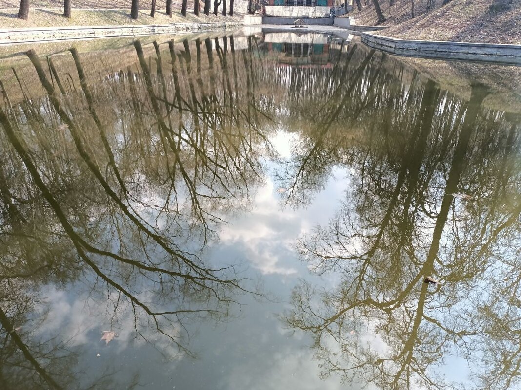 Андреевский пруд в парке Нескучный сад - Валентина (Panitina) Фролова