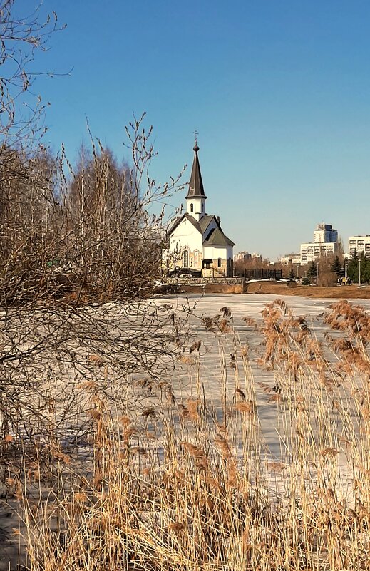 Пулковский парк - Наталья Герасимова