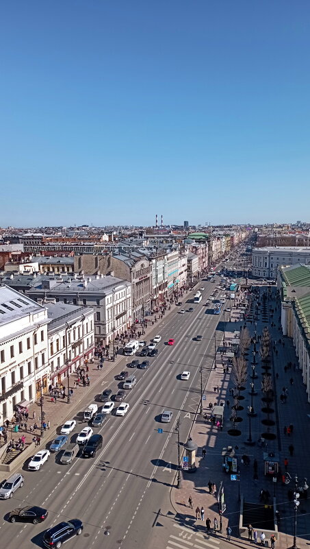 Вид на Невский проспект с Думской башни - Николай 
