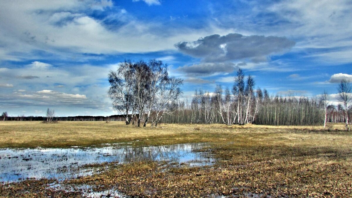 Весенние пейзажи - Владимир 