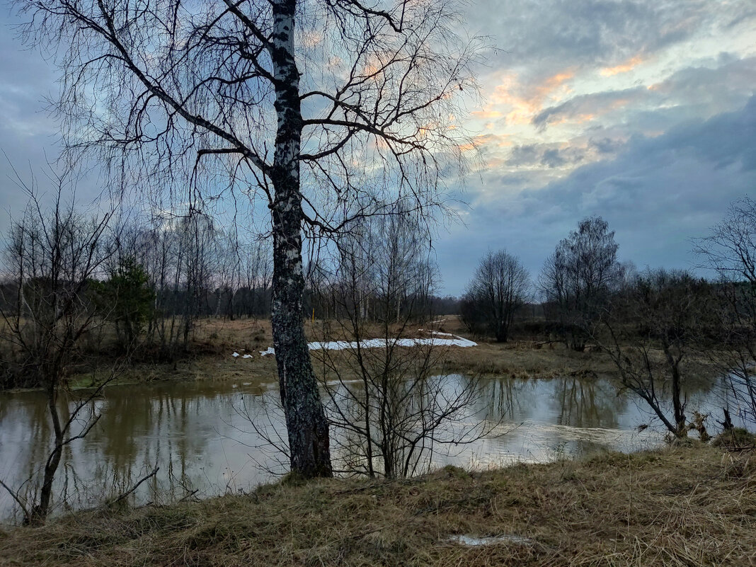 На берегу Молокчи - Денис Бочкарёв