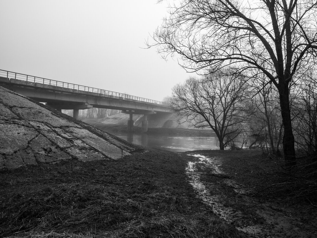 Туман на реке Лужа. - Алексей Ковынев