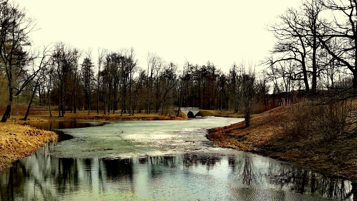 Весна в Александровском парке ЦС - 1 Лёд на прудах ещё не сошел - Сергей 