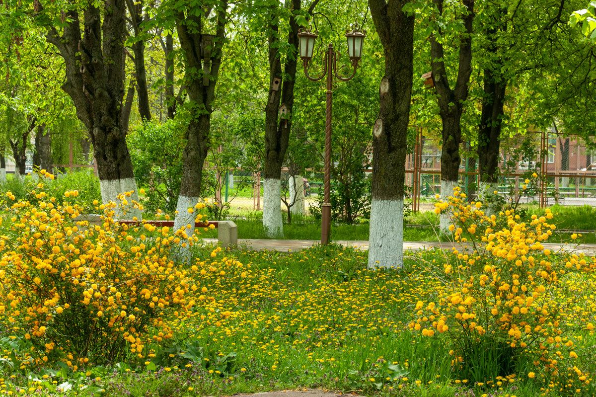 весна, апрель - Игорь Сикорский