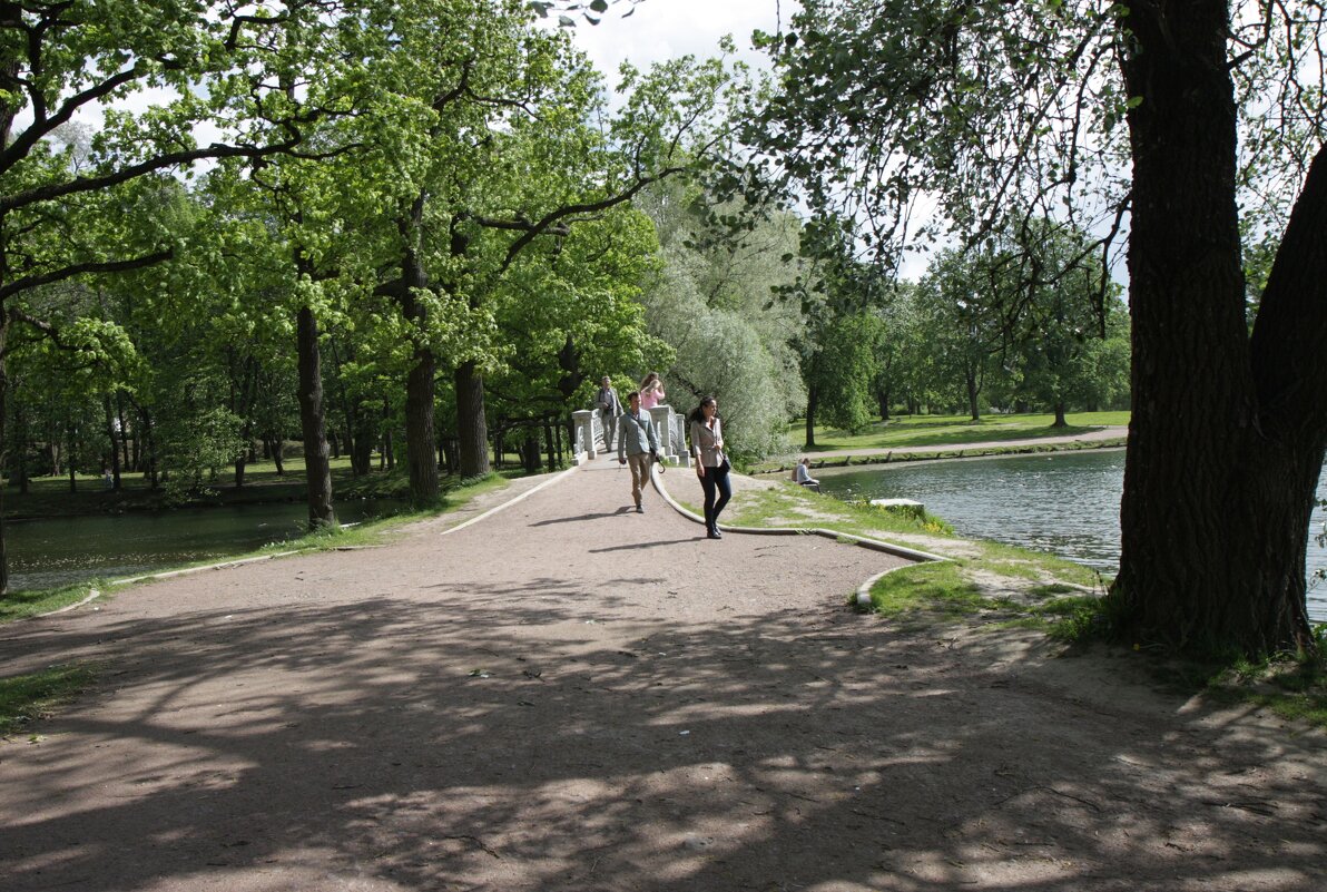 В парке, Петербург - ZNatasha -