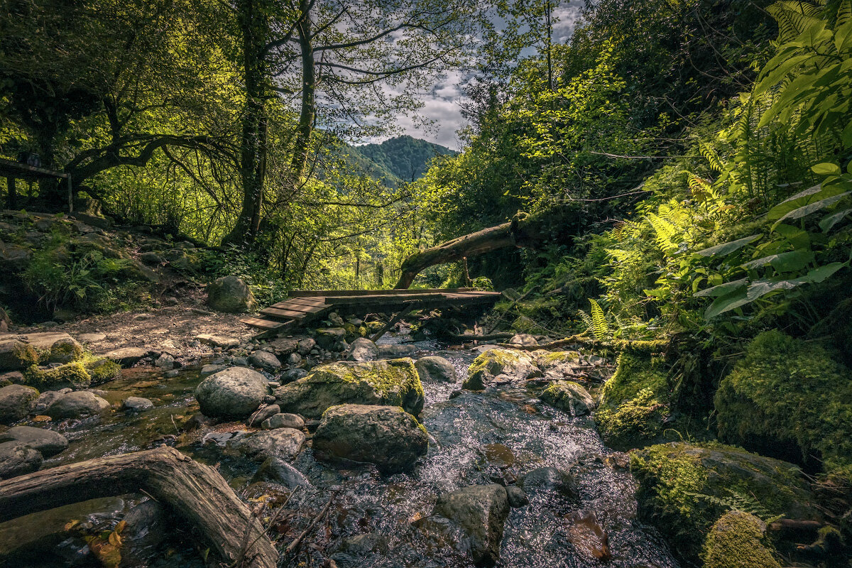 Small Bridge at Mirveti Waterfall - Fuseboy 