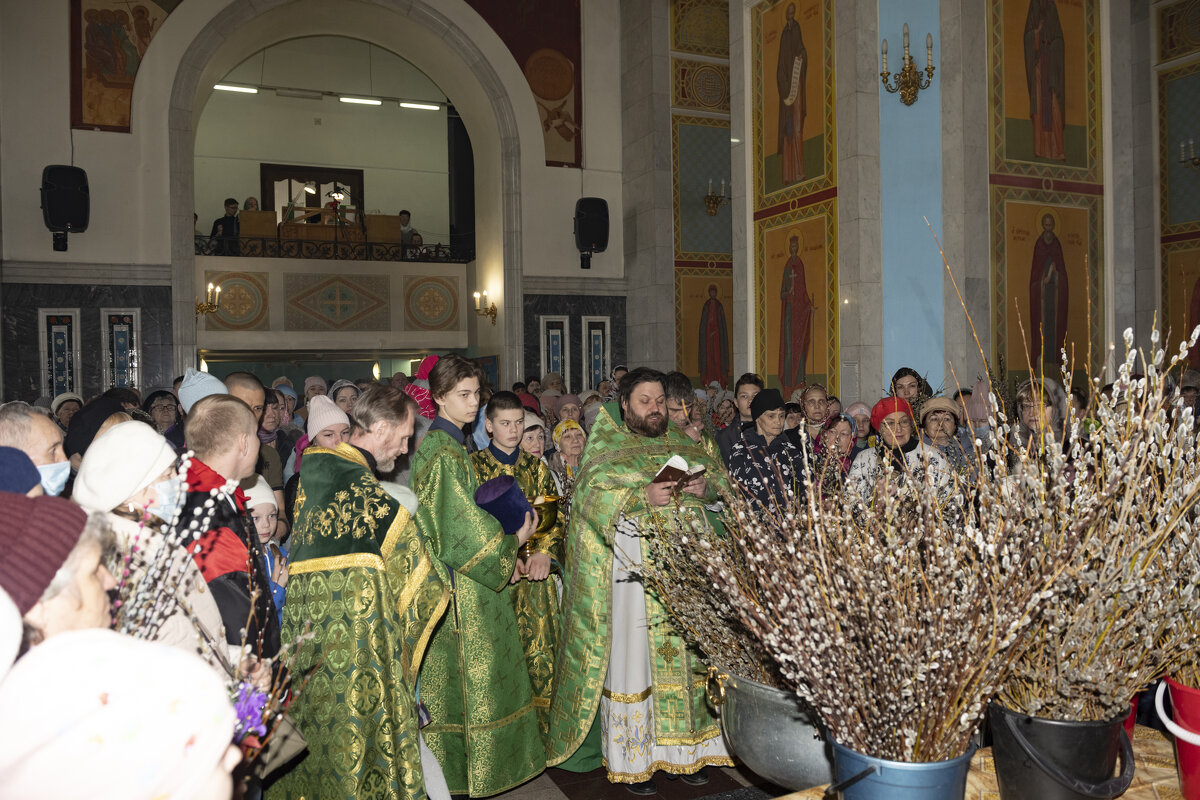 Вербное воскресенье - Сергей Крылов