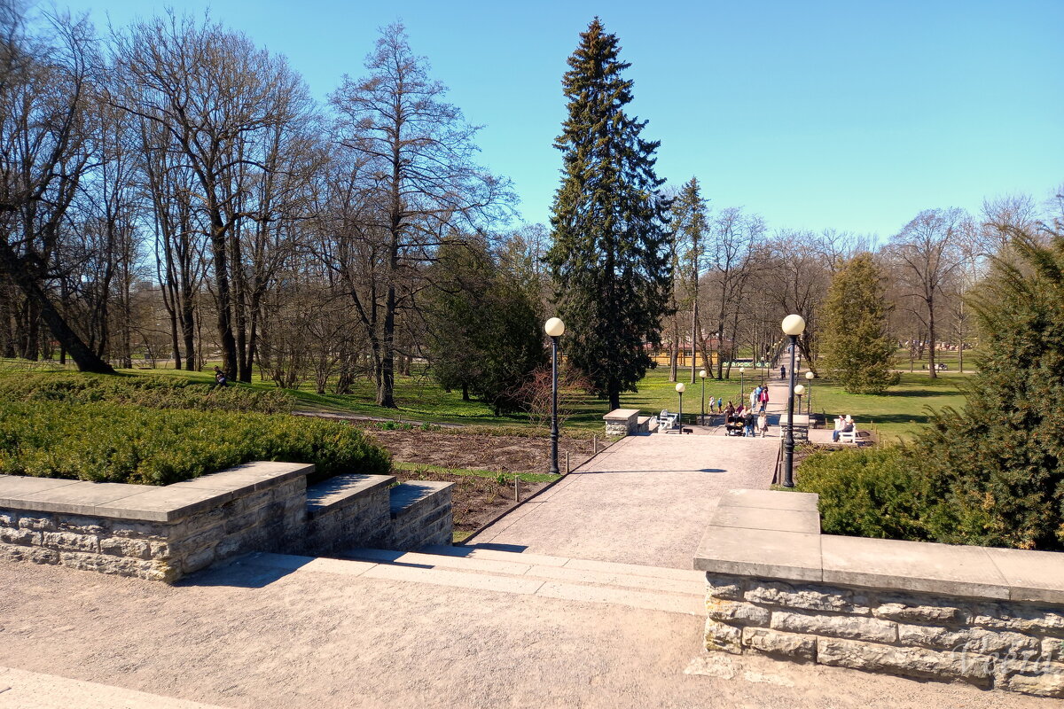 Весна в парке Кадриорг - veera v