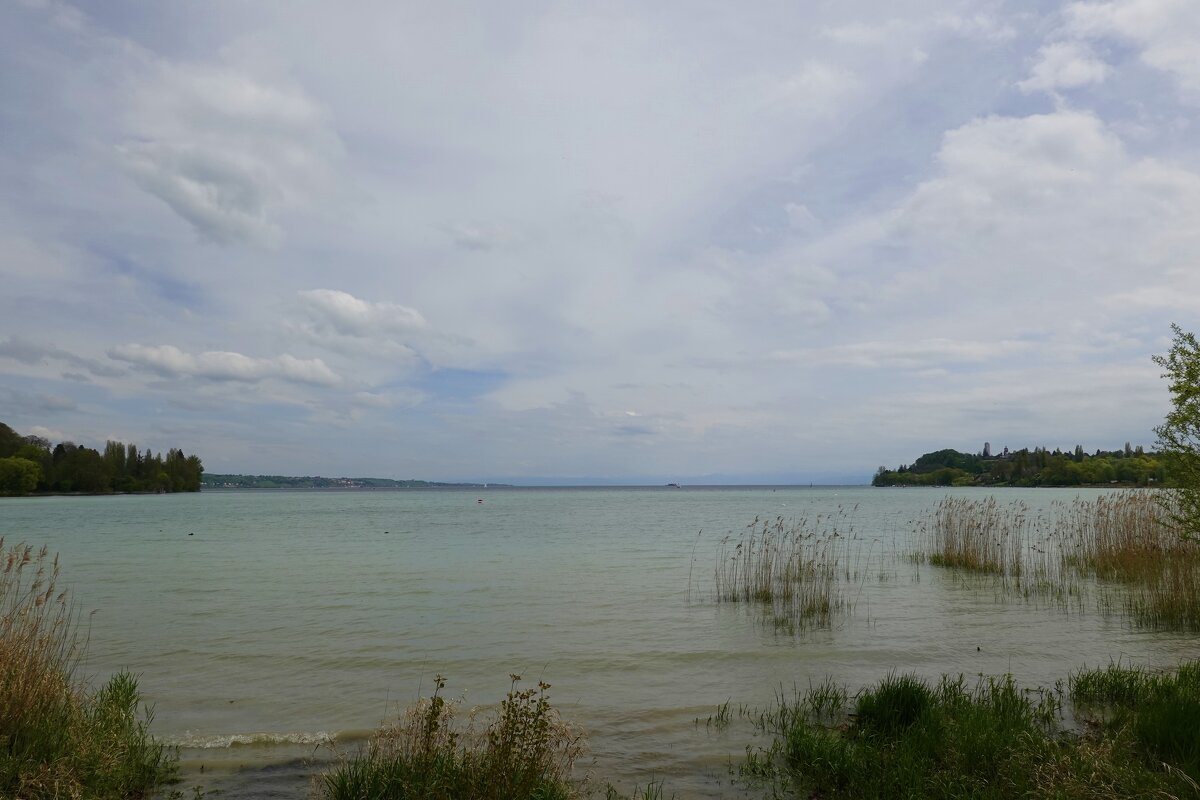 Bodensee... - Galina Dzubina