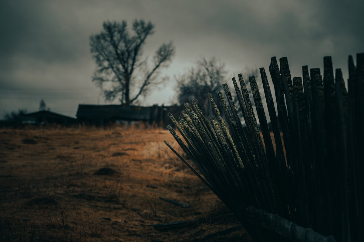 В деревне - Станислав Брисач