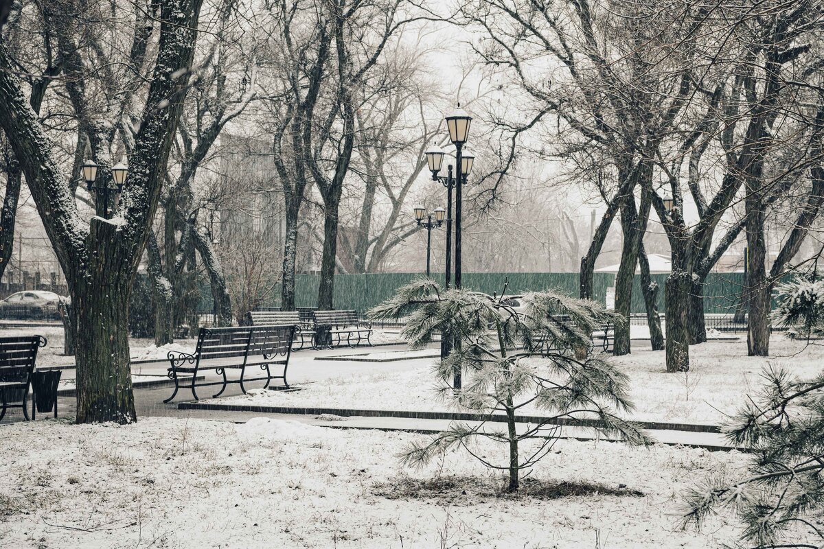 Снегопад в сквере на Чехова - Константин Бобинский