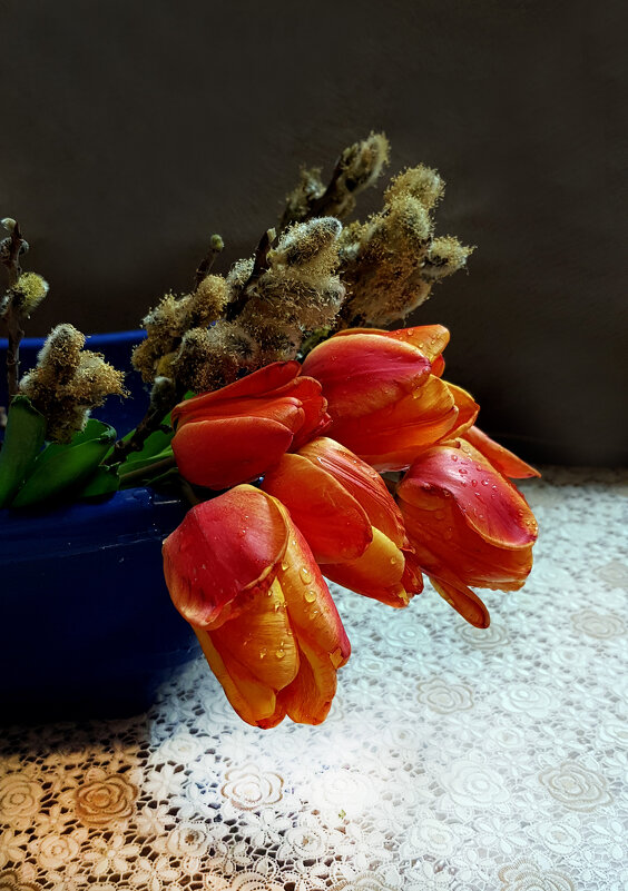 Проснулись от зимы тюльпаны ало-красные, - Наталья (D.Nat@lia)