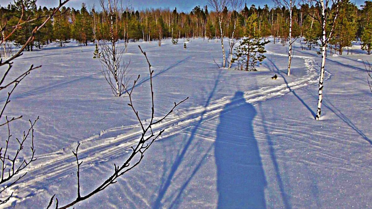 В первый день весны в пригородном лесу! - Владимир 