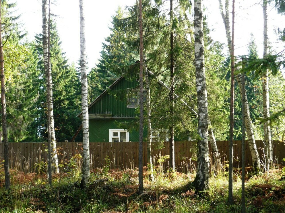 Дом в лесу - Вера Щукина