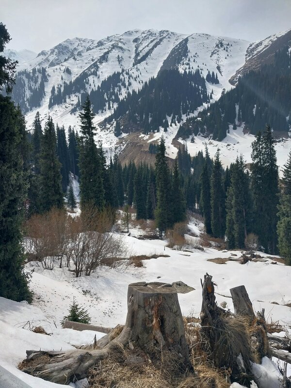 Almaty. - Murat Bukaev 