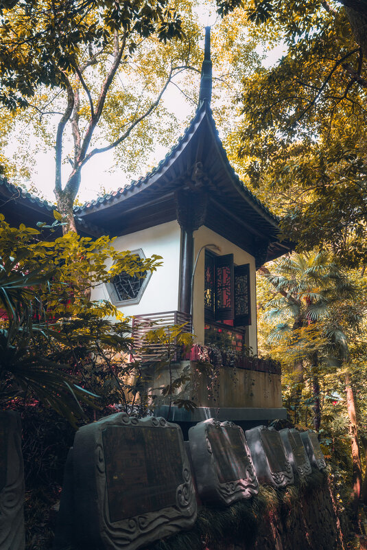 Чайный домик в парке в Ханчжоу - Дмитрий 