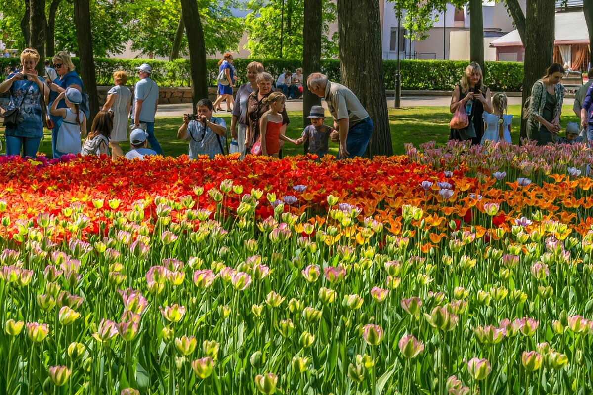 Цветы в парке города Гомель - Игорь Сикорский