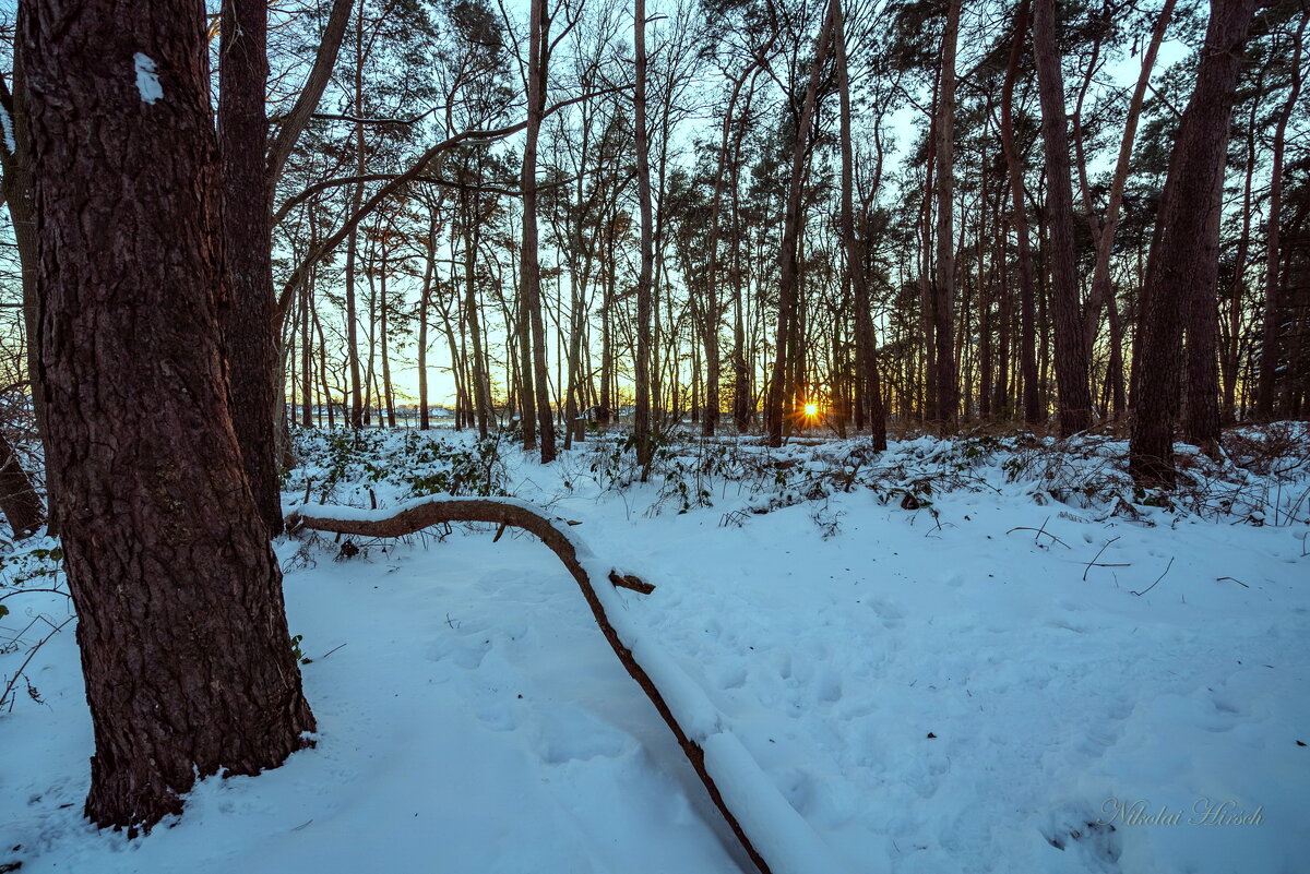 *** - Николай Гирш