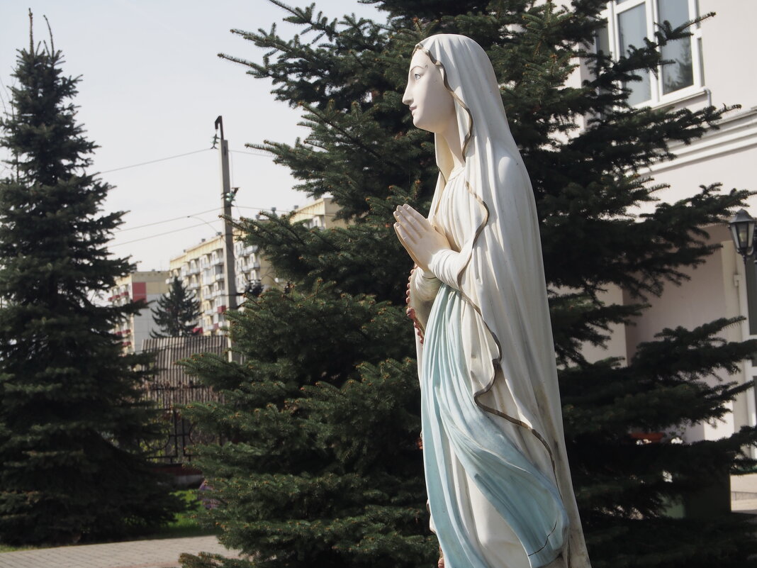 Дева Мария - Борис 