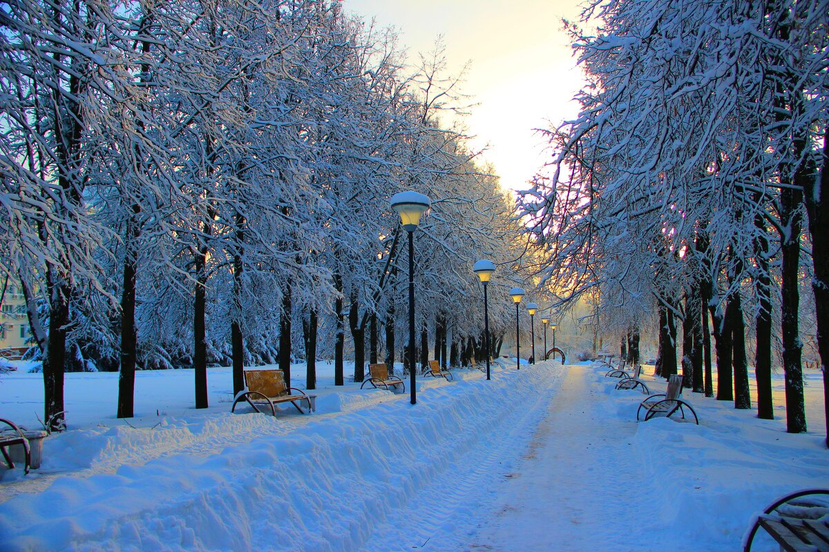 парк зимой - Владимир иванов