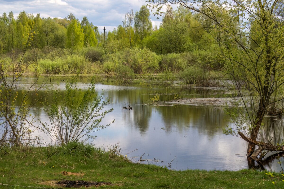 Река Мокрянка - Игорь Сикорский