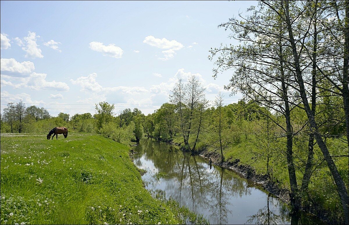 река Псёл - Сеня Белгородский