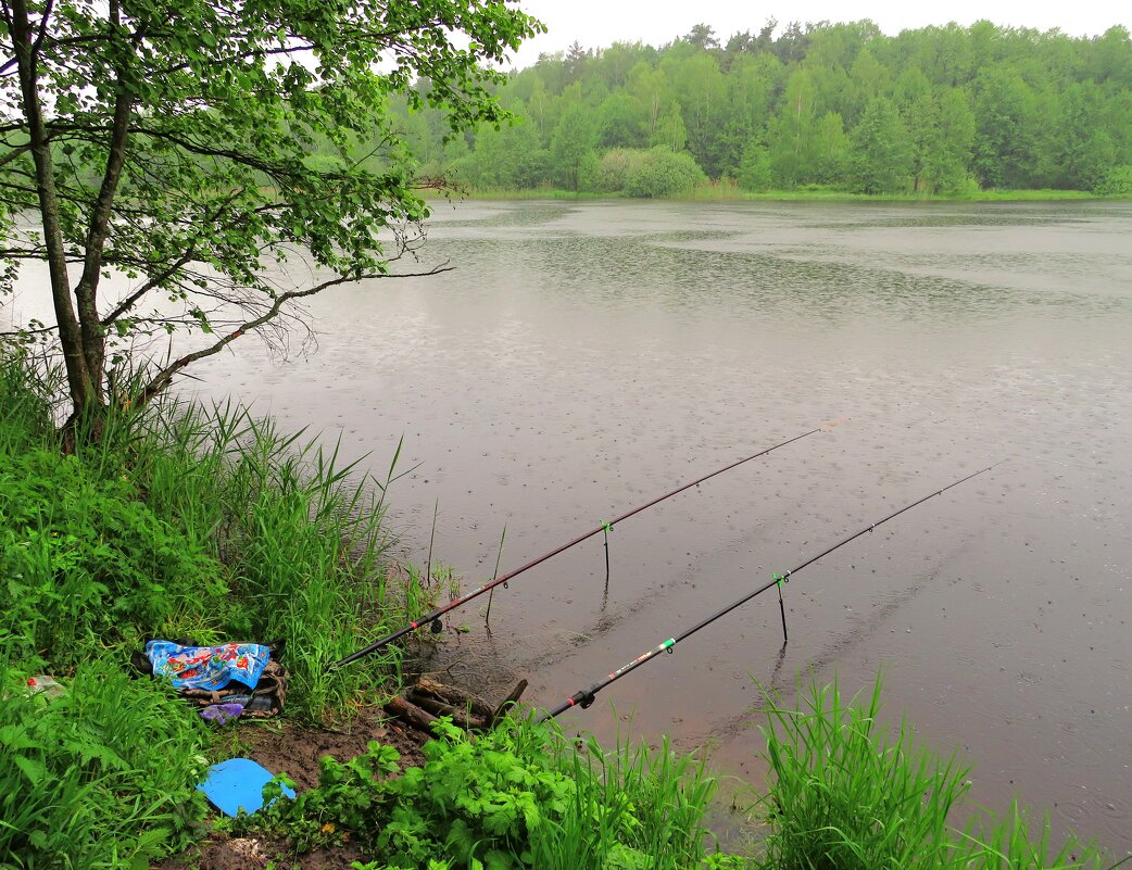 Рыбалка под дождём - Андрей Снегерёв