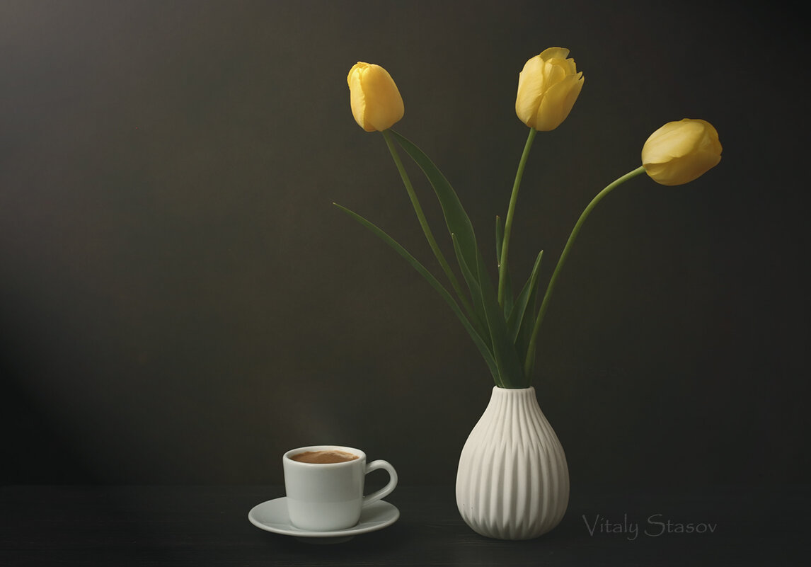 Кофе и тюльпаны - Виталий Стасов