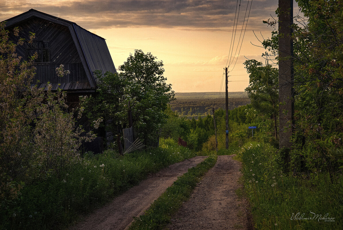 "Вниз по дороге к реке"© - Владимир Макаров