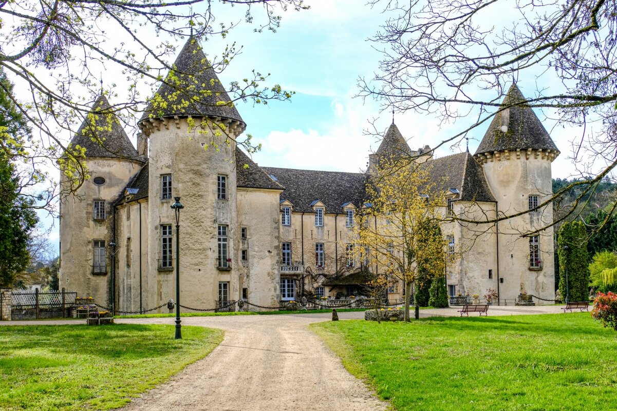 замок Савиньи-ле-Бонн XIV век (3) - Георгий А