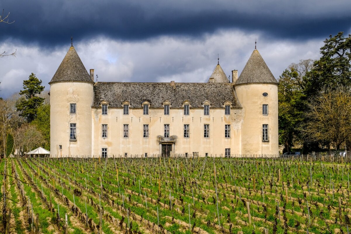 Виноградники перед замком Савиньи-ле-Бонн XIV век - Георгий А