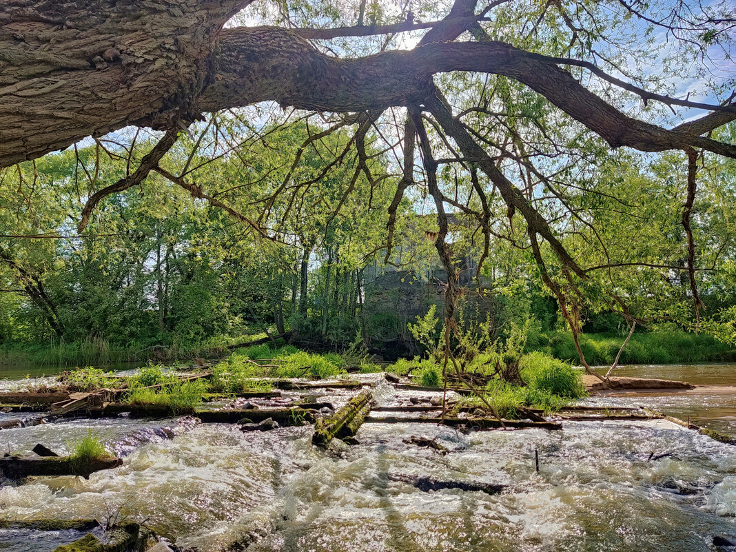 Старая плотина на реке Киржач - Денис Бочкарёв