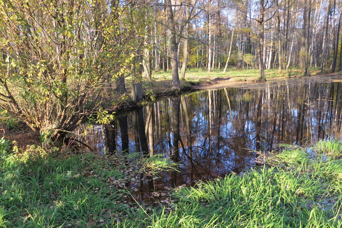 Весна в парке - Вера Щукина