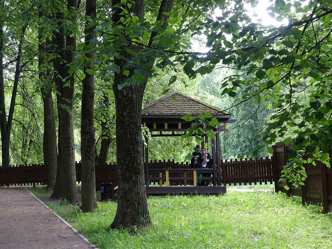 Воронцовский парк - Лидия Бусурина