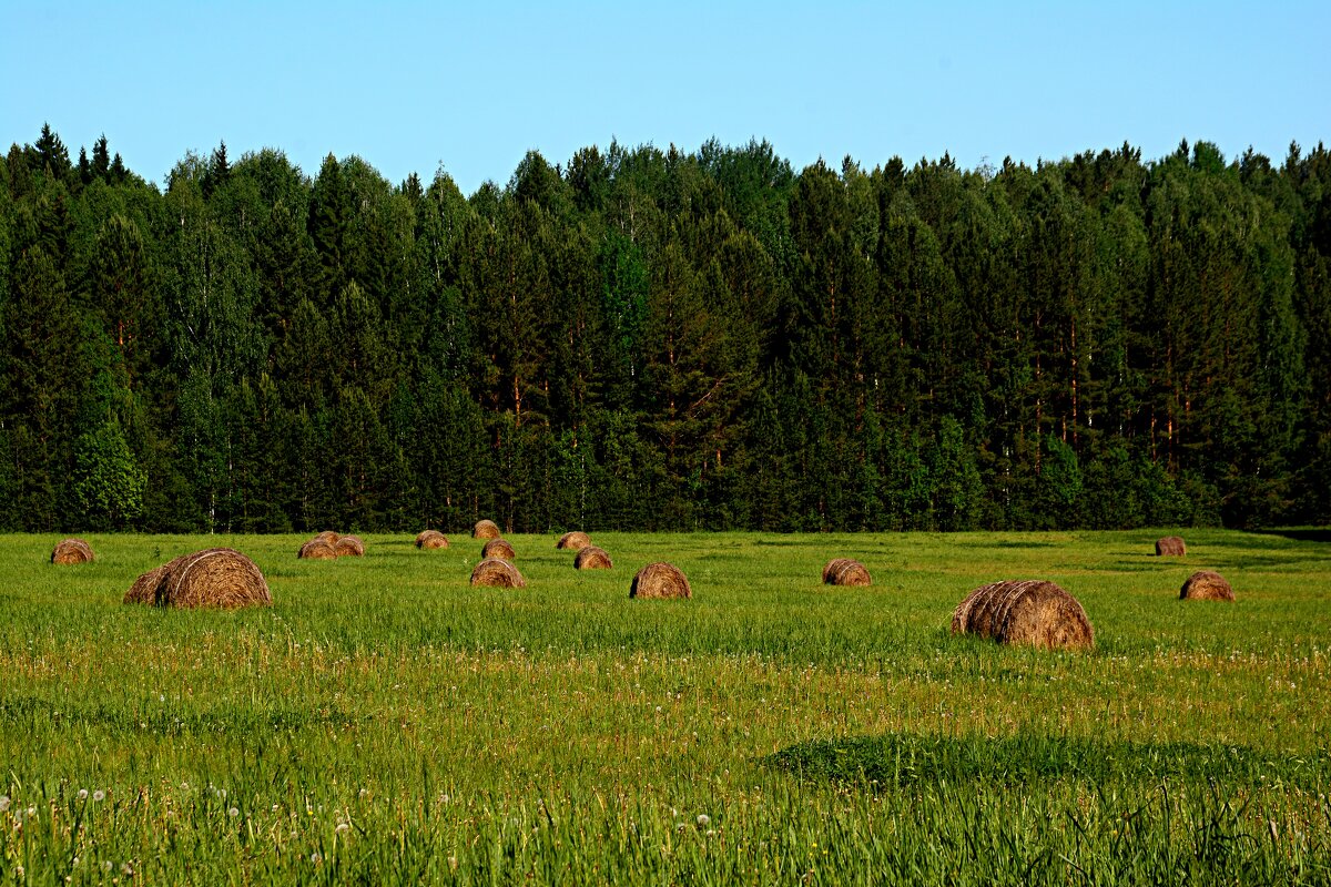 *** - Александр 