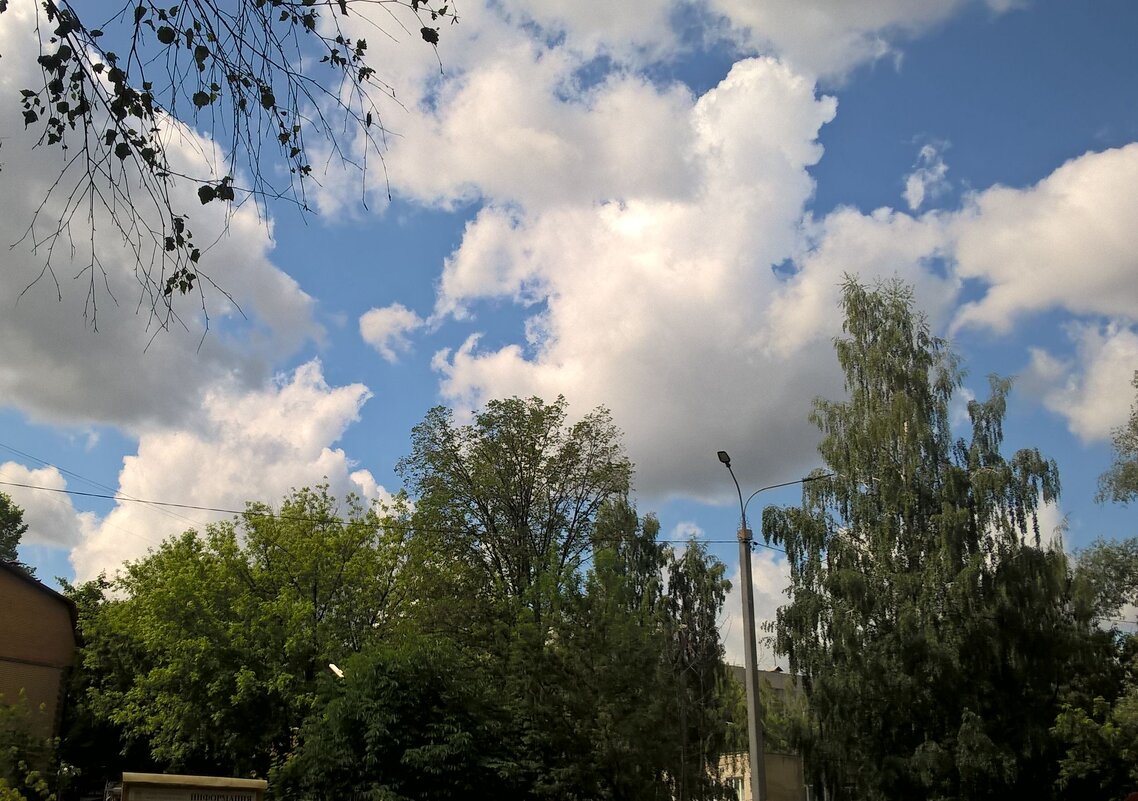 Плывут облака - Елена Семигина