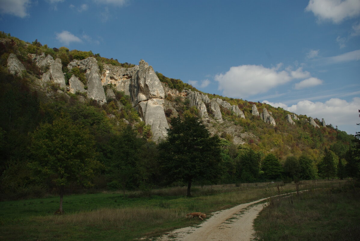 Село Реселец, мое село ! ;) - Вен Гъновски