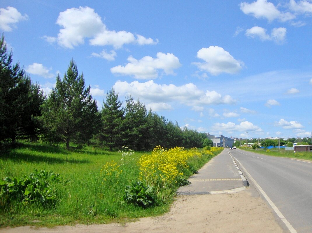 на подступах к городку... - Галина Флора