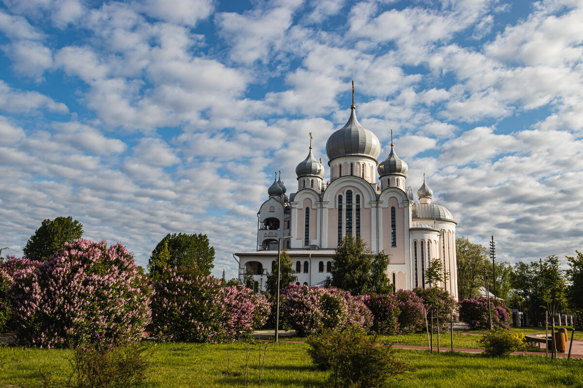 Благовещенская церковь - navalon M