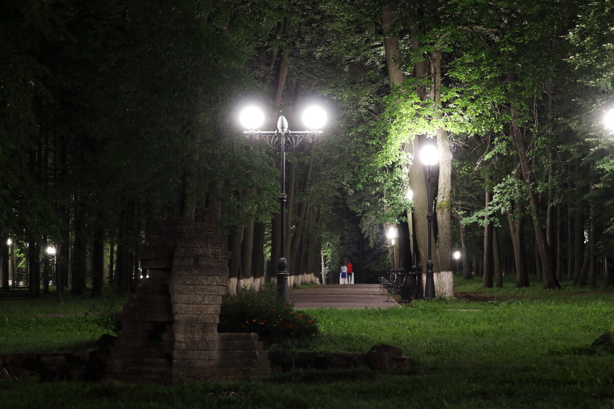 Шуя. Центральная аллея в городском парке. - Сергей Пиголкин