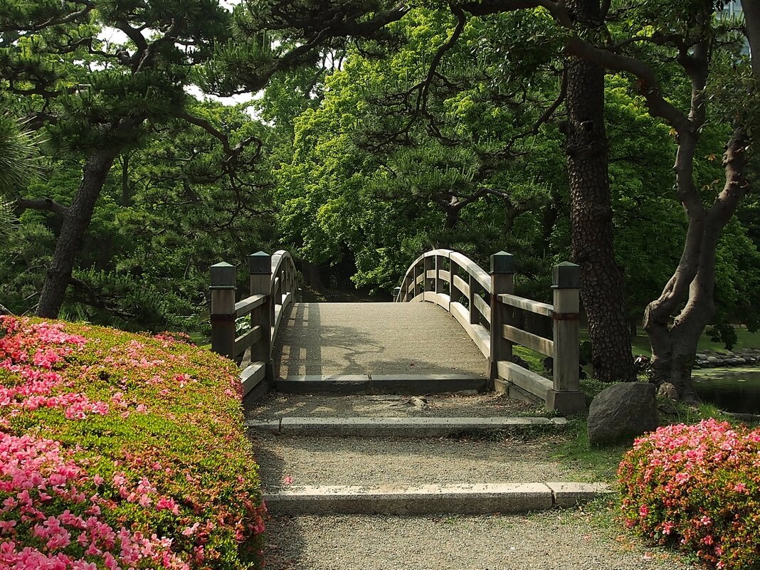 Мост - символ жизненного пути  японский сад Токио Япония - wea *