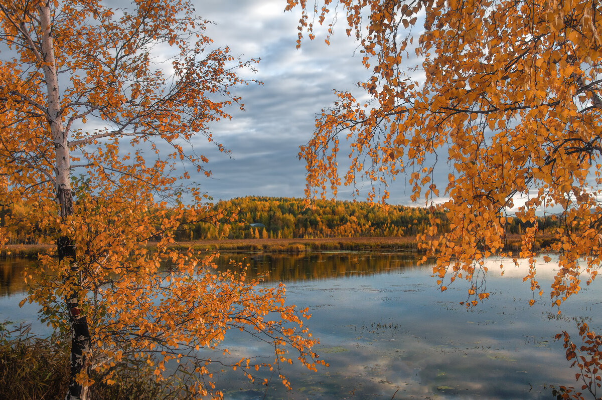 Осенний вечер на озере - Vladimbormotov 
