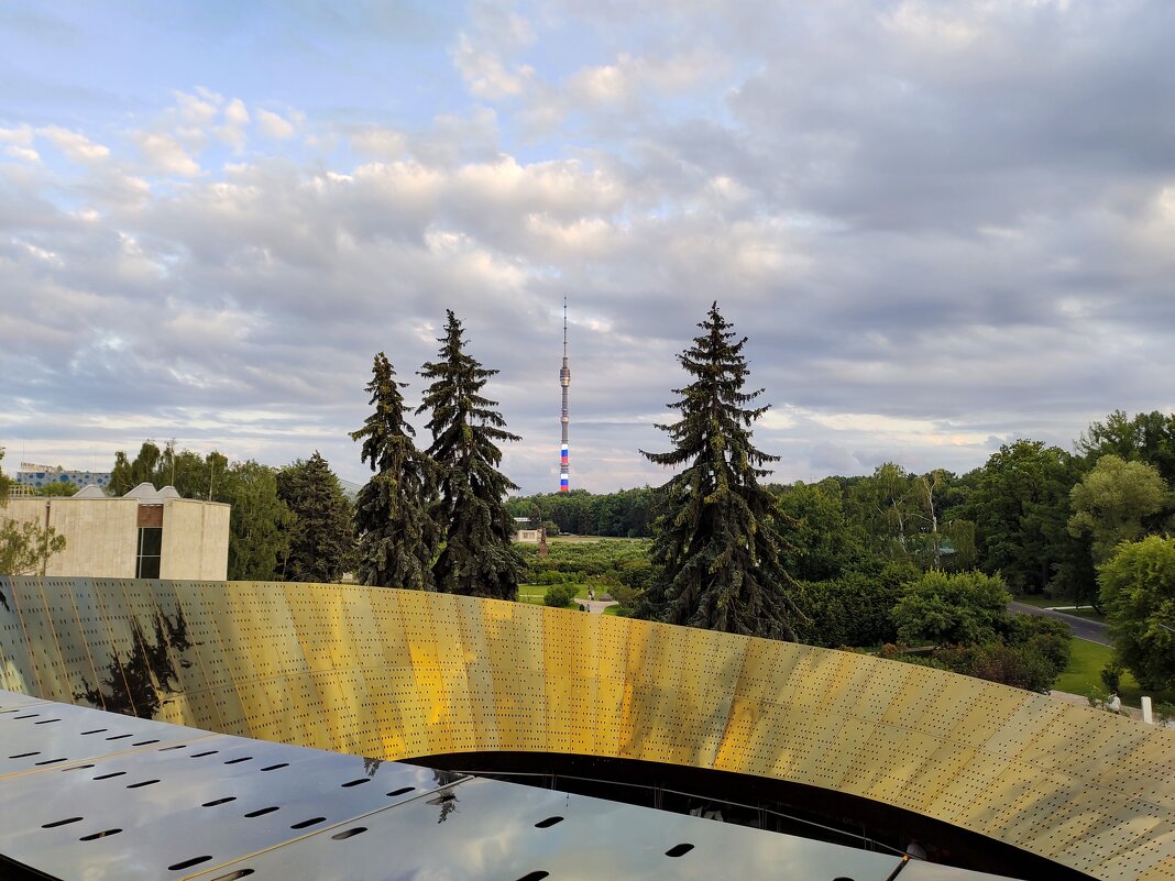 Вид на Останкинскую башню - Юлия 