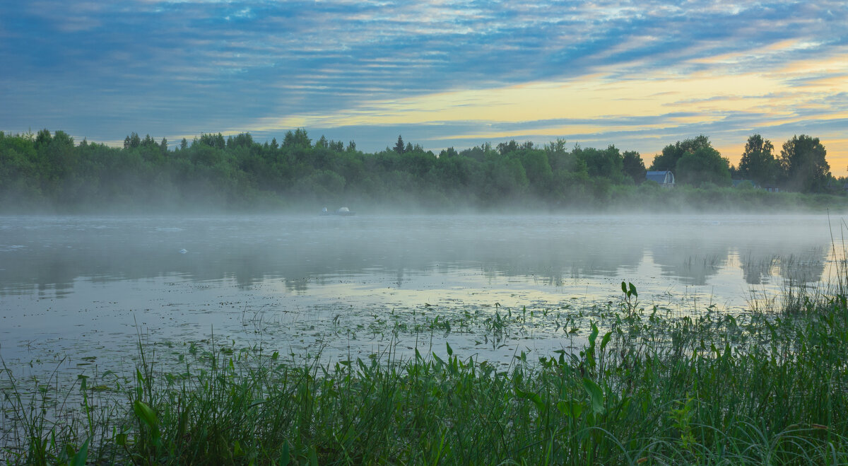 June morning near the Sukhona River | 3 - Sergey Sonvar